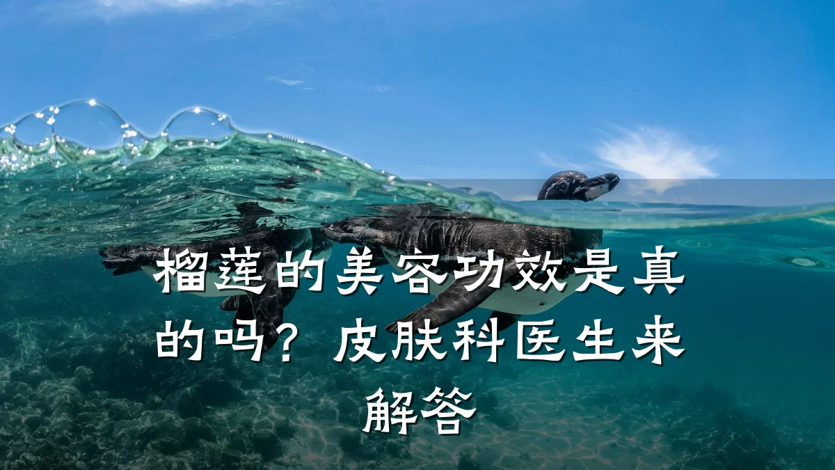 榴莲的美容功效是真的吗?皮肤科医生来解答