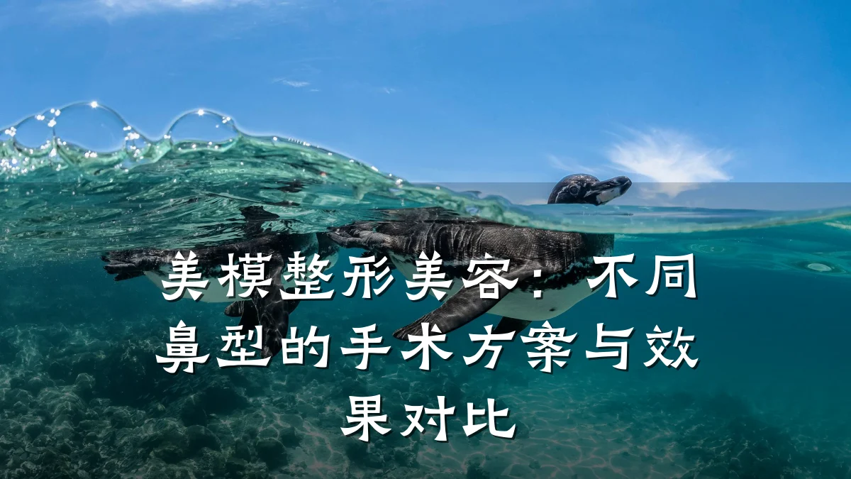 美模整形美容:不同鼻型的手术方案与效果对比