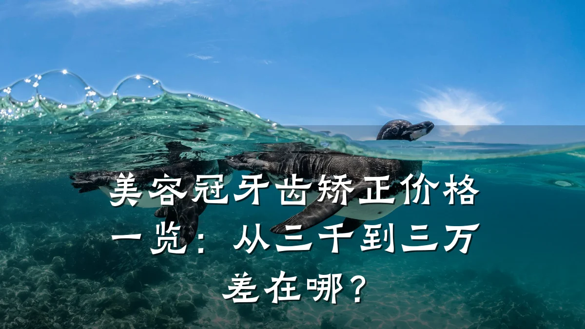 美容冠牙齿矫正价格一览:从三千到三万差在哪?