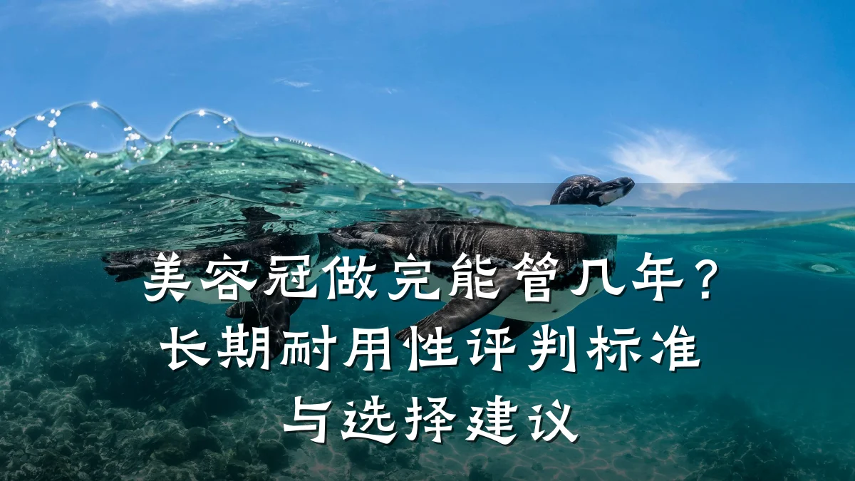 美容冠做完能管几年?长期耐用性评判标准与选择建议