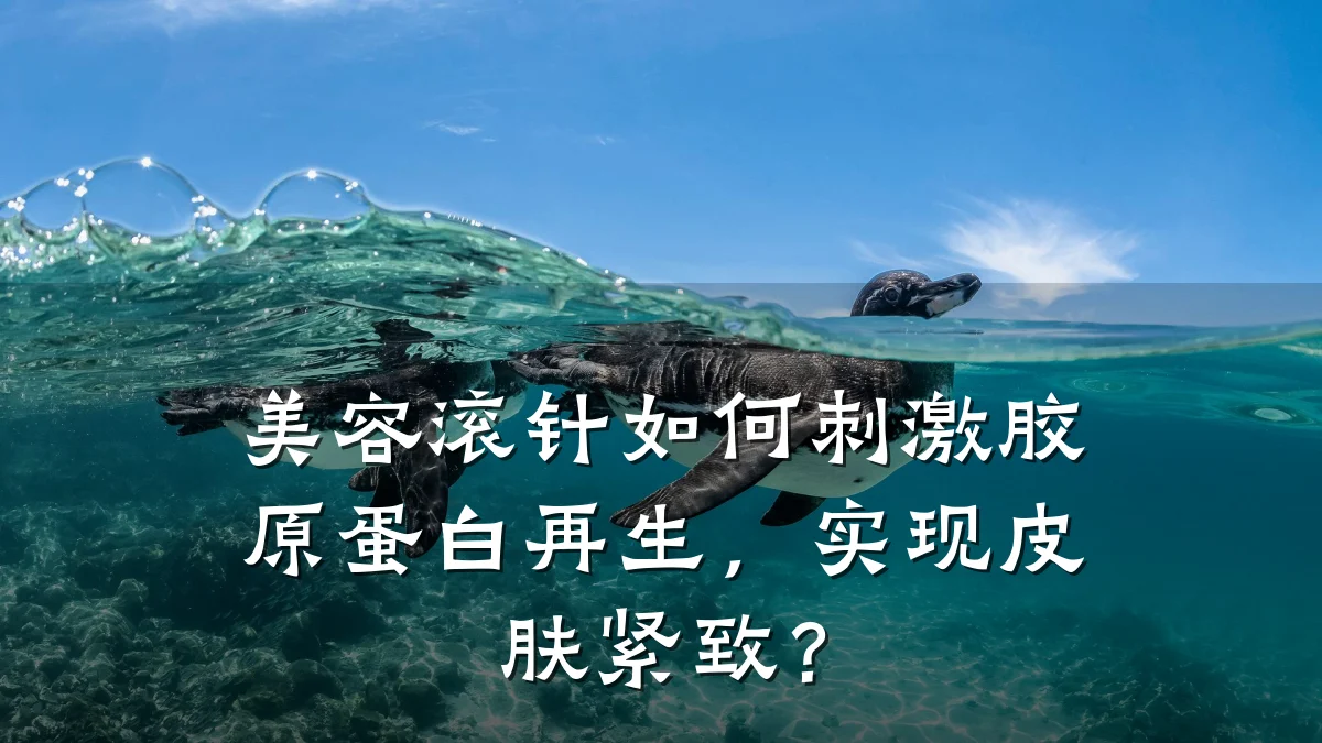 美容滚针如何刺激胶原蛋白再生，实现皮肤紧致？