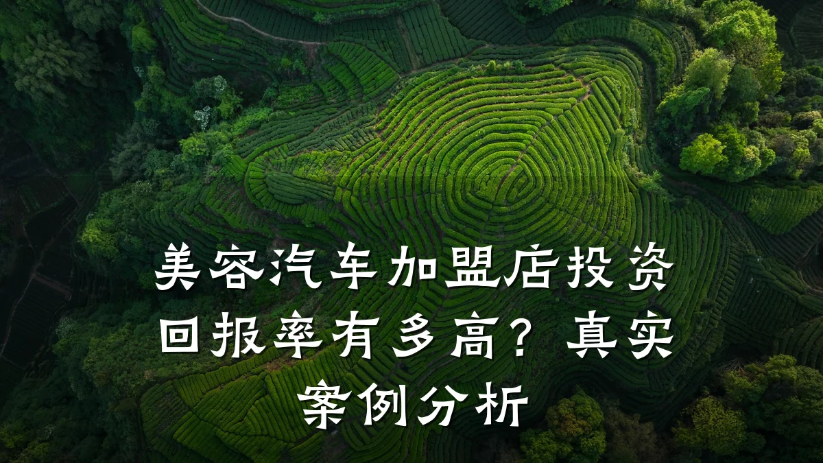 美容汽车加盟店投资回报率有多高?真实案例分析