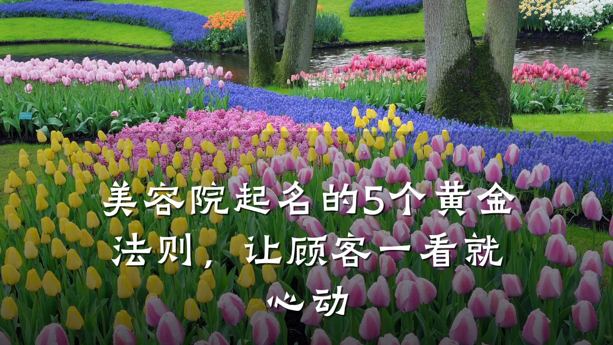 美容院起名的5个黄金法则,让顾客一看就心动