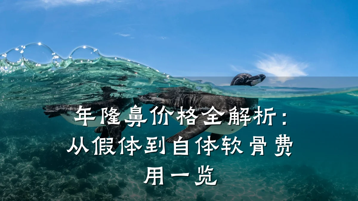 年隆鼻价格全解析:从假体到自体软骨费用一览