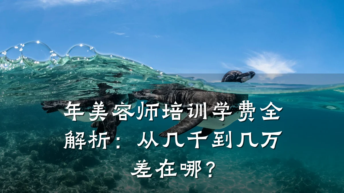 年美容师培训学费全解析:从几千到几万差在哪?