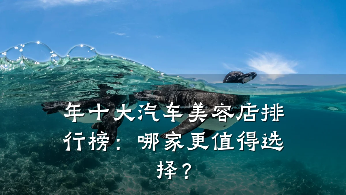 年十大汽车美容店排行榜:哪家更值得选择?