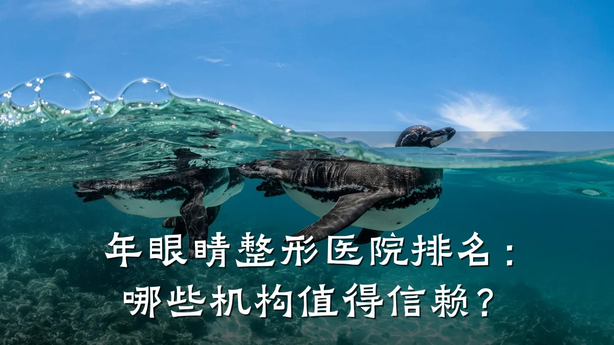 年眼睛整形医院排名:哪些机构值得信赖?