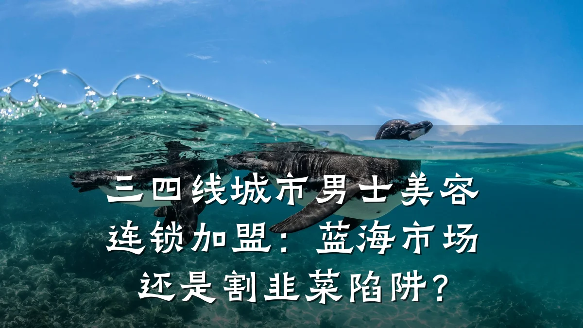 三四线城市男士美容连锁加盟:蓝海市场还是割韭菜陷阱?