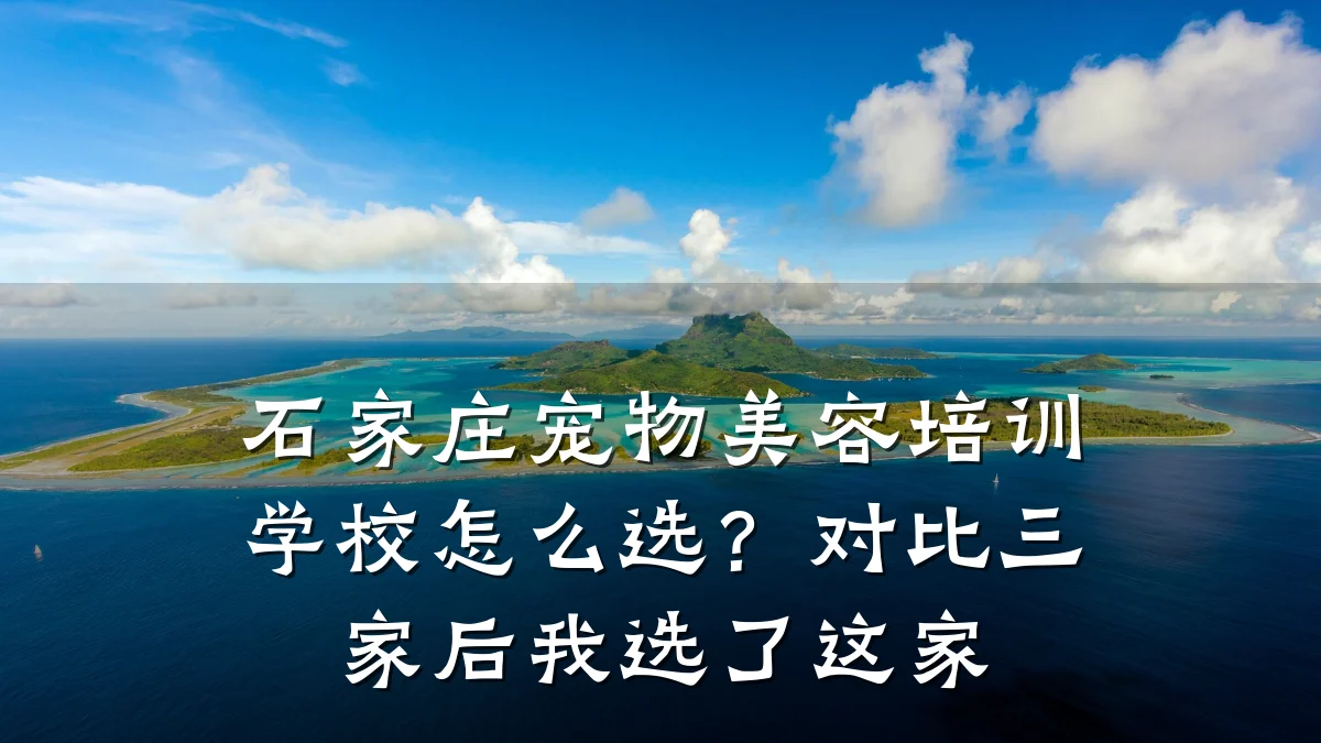 石家庄宠物美容培训学校怎么选?对比三家后我选了这家