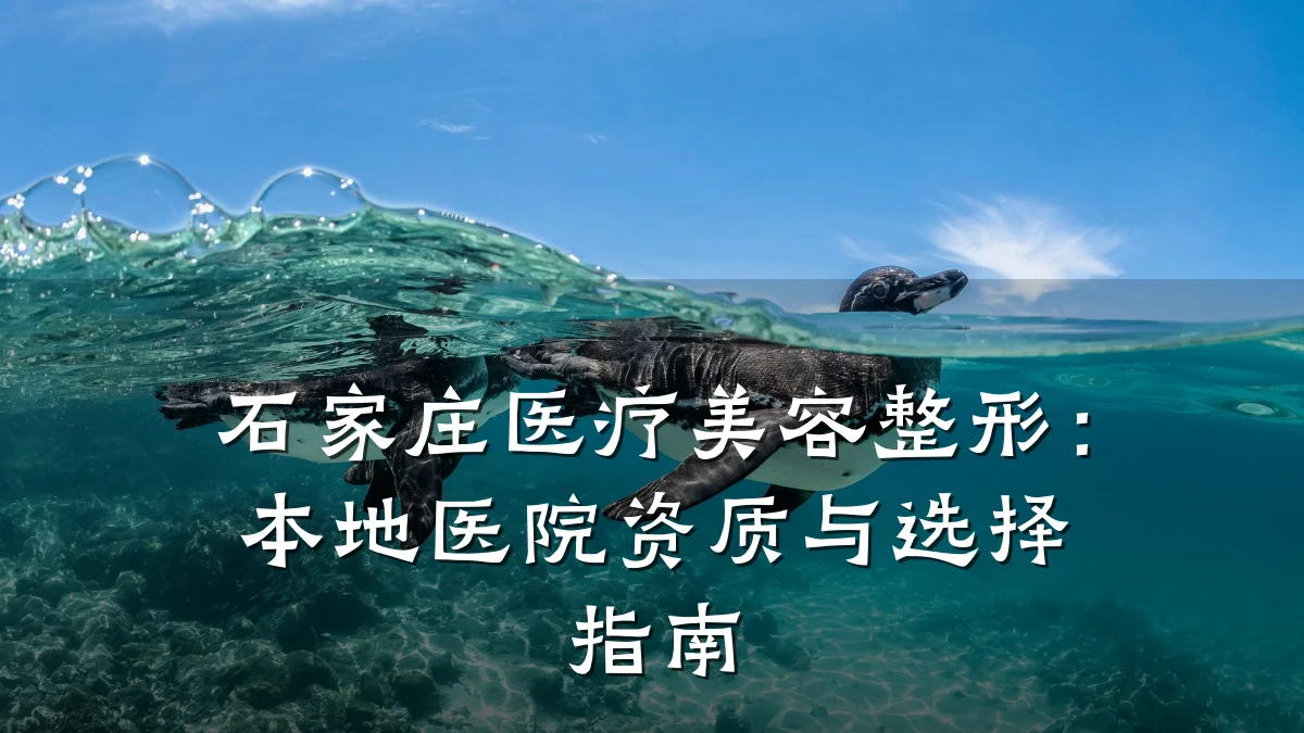 石家庄医疗美容整形:本地医院资质与选择指南