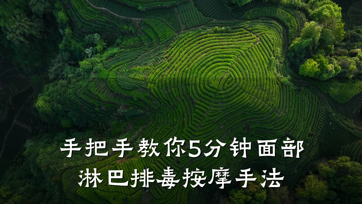 手把手教你5分钟面部淋巴排毒按摩手法