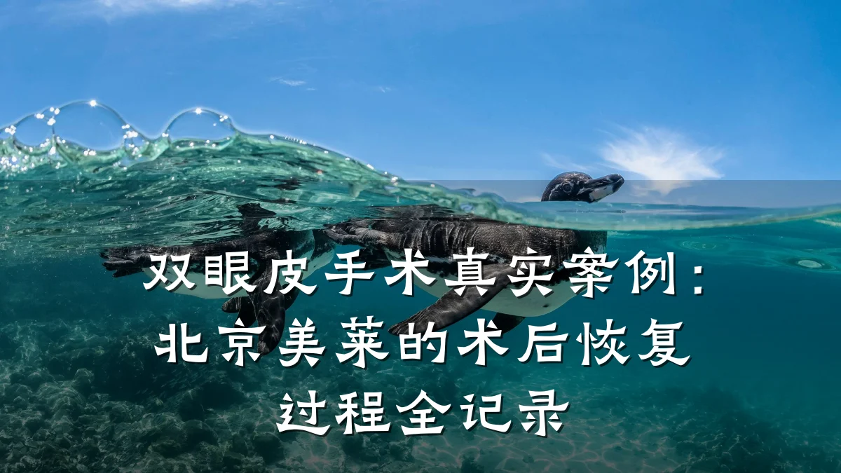 双眼皮手术真实案例:北京美莱的术后恢复过程全记录