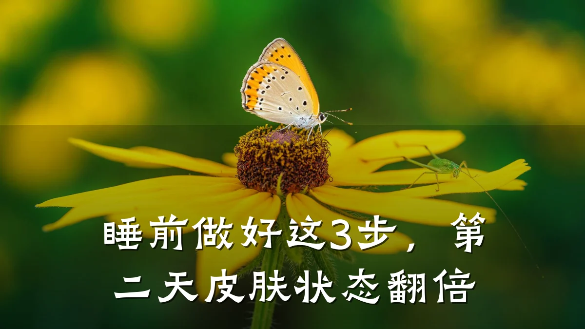 睡前做好这3步,第二天皮肤状态翻倍