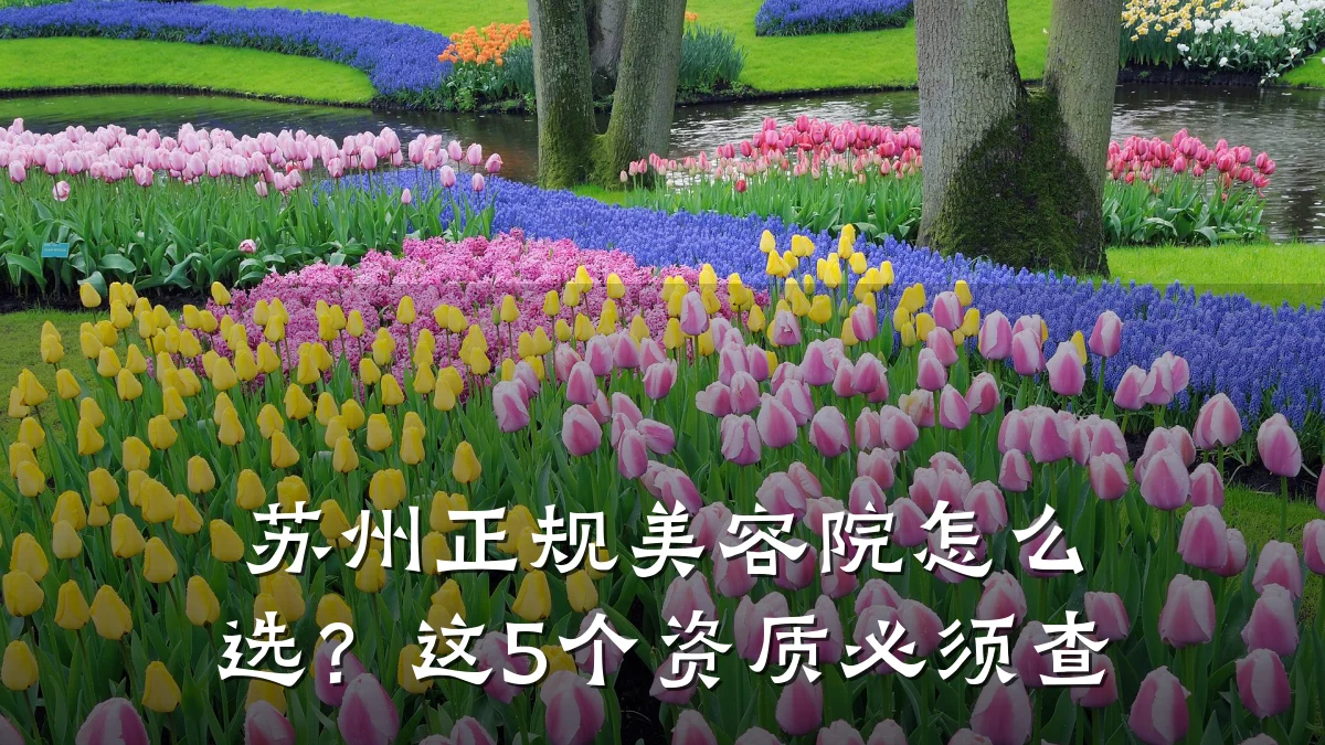 苏州正规美容院怎么选?这5个资质必须查