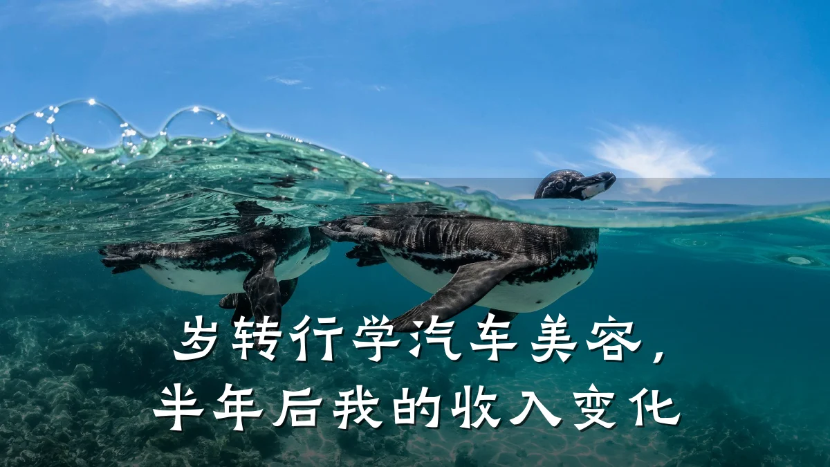 岁转行学汽车美容,半年后我的收入变化