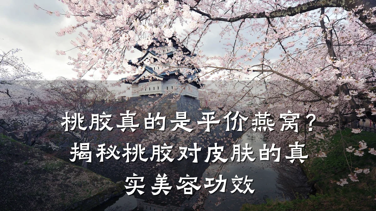 桃胶真的是平价燕窝?揭秘桃胶对皮肤的真实美容功效