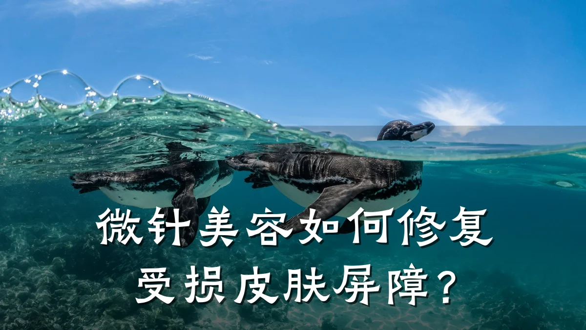 微针美容如何修复受损皮肤屏障?