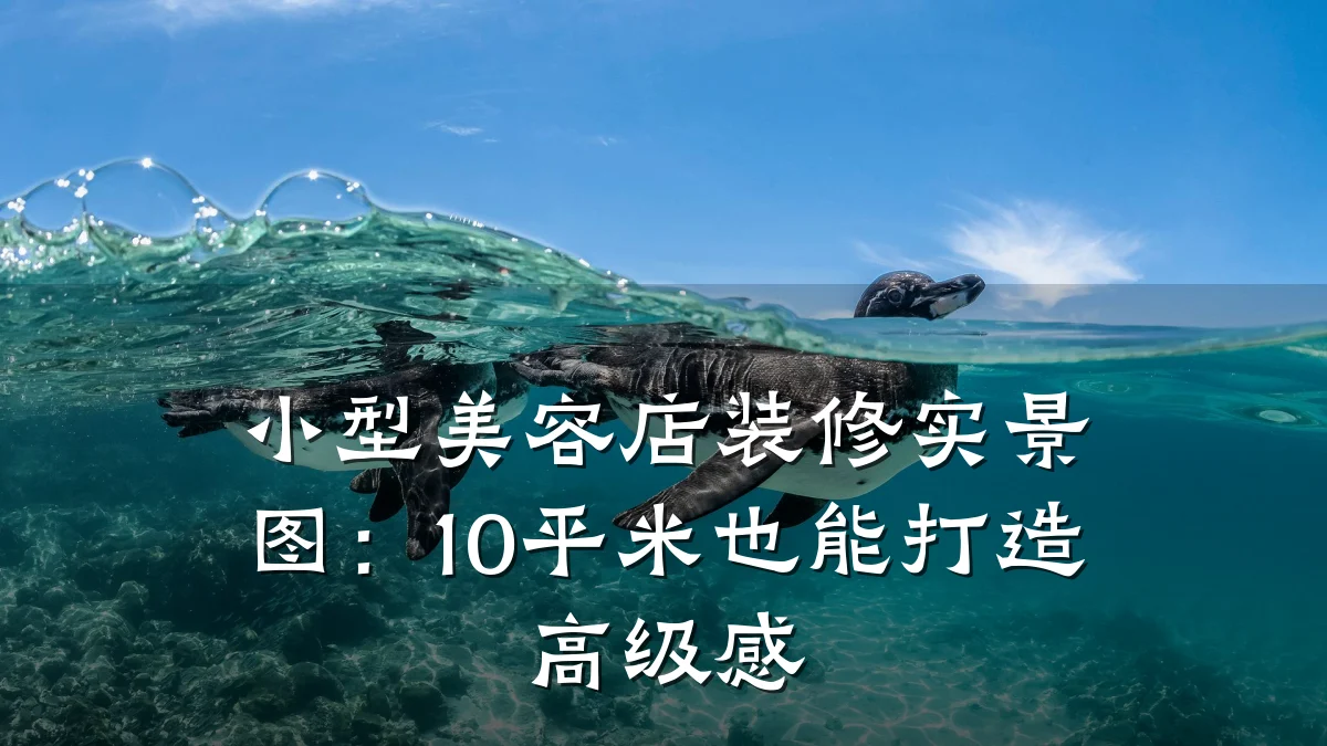 小型美容店装修实景图:10平米也能打造高级感