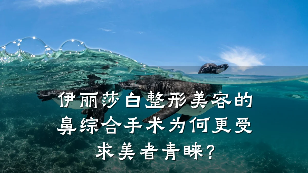 伊丽莎白整形美容的鼻综合手术为何更受求美者青睐?