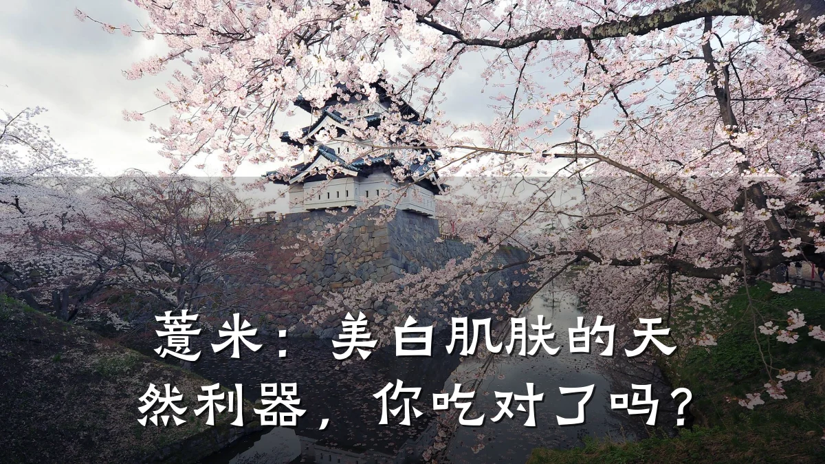薏米:美白肌肤的天然利器,你吃对了吗?