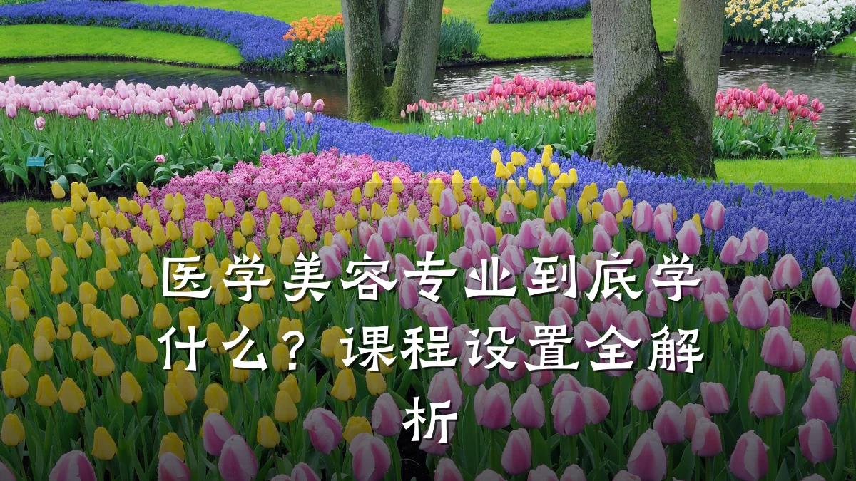 医学美容专业到底学什么?课程设置全解析