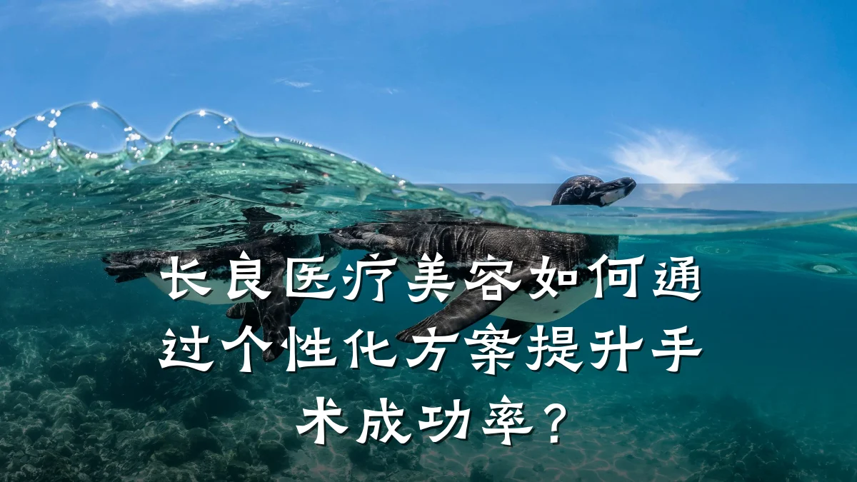 长良医疗美容如何通过个性化方案提升手术成功率?