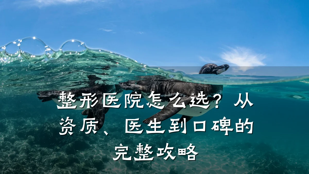 整形医院怎么选?从资质、医生到口碑的完整攻略