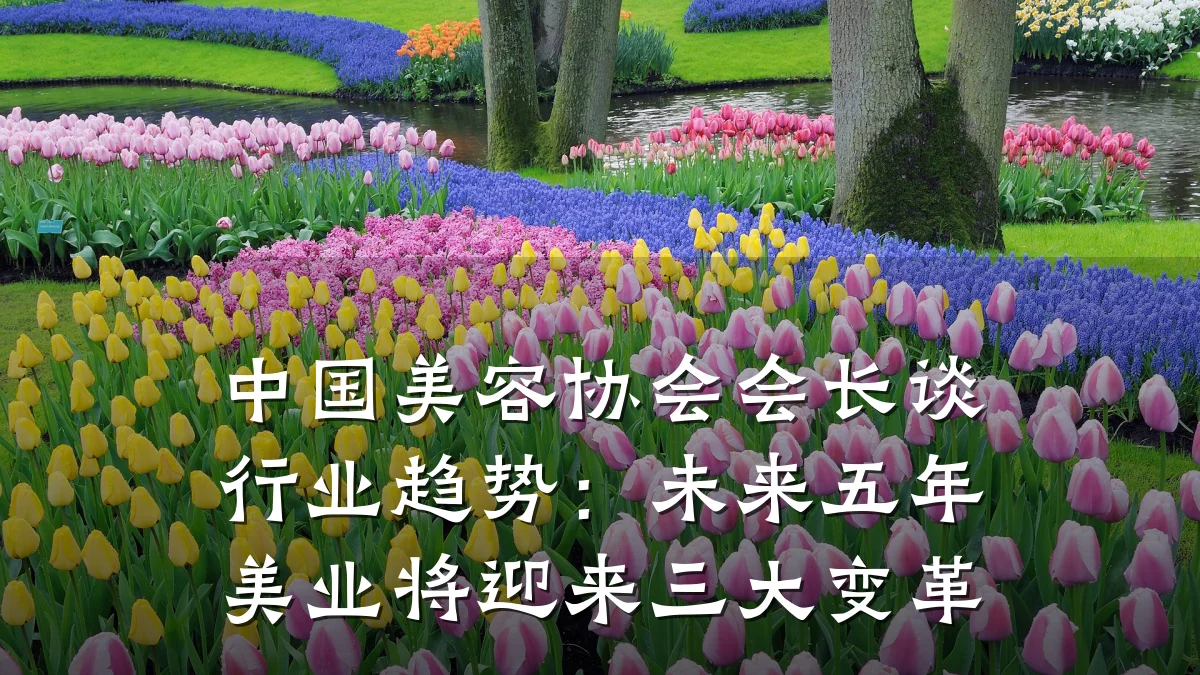 中国美容协会会长谈行业趋势:未来五年美业将迎来三大变革