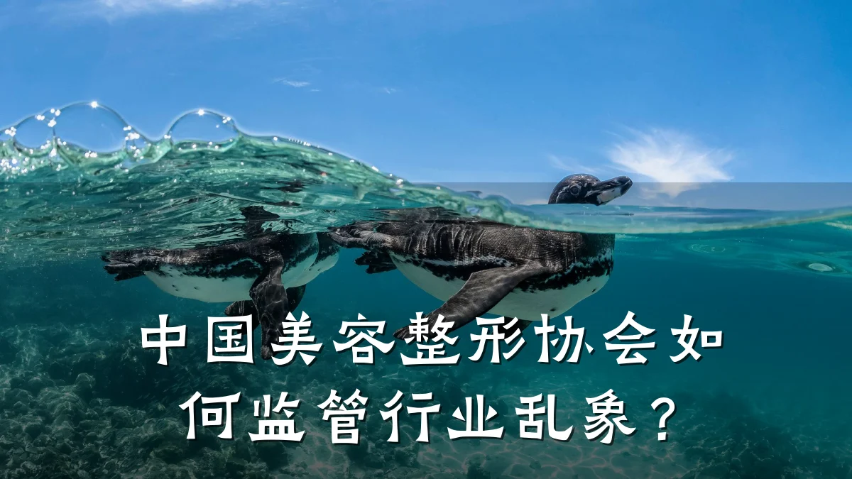 中国美容整形协会如何监管行业乱象?