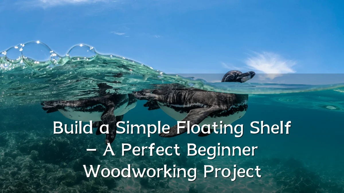 Build a Simple Floating Shelf – A Perfect Beginner Woodworking Project