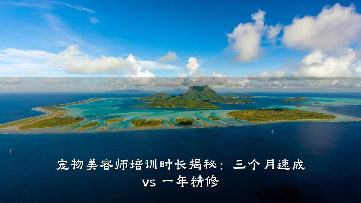 宠物美容师培训时长揭秘:三个月速成 vs 一年精修