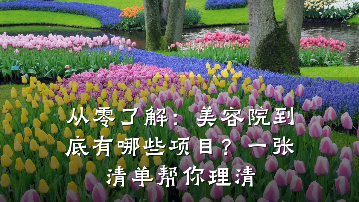 从零了解:美容院到底有哪些项目?一张清单帮你理清