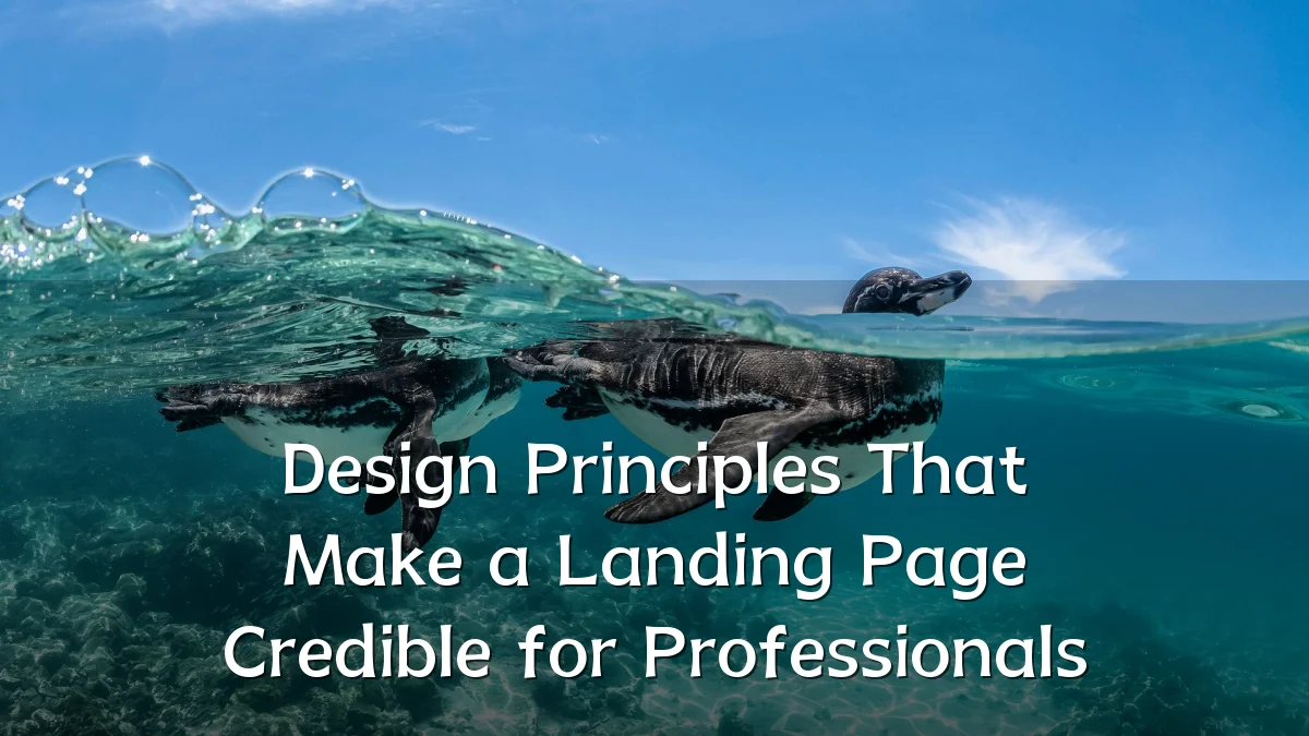 Design Principles That Make a Landing Page Credible for Professionals