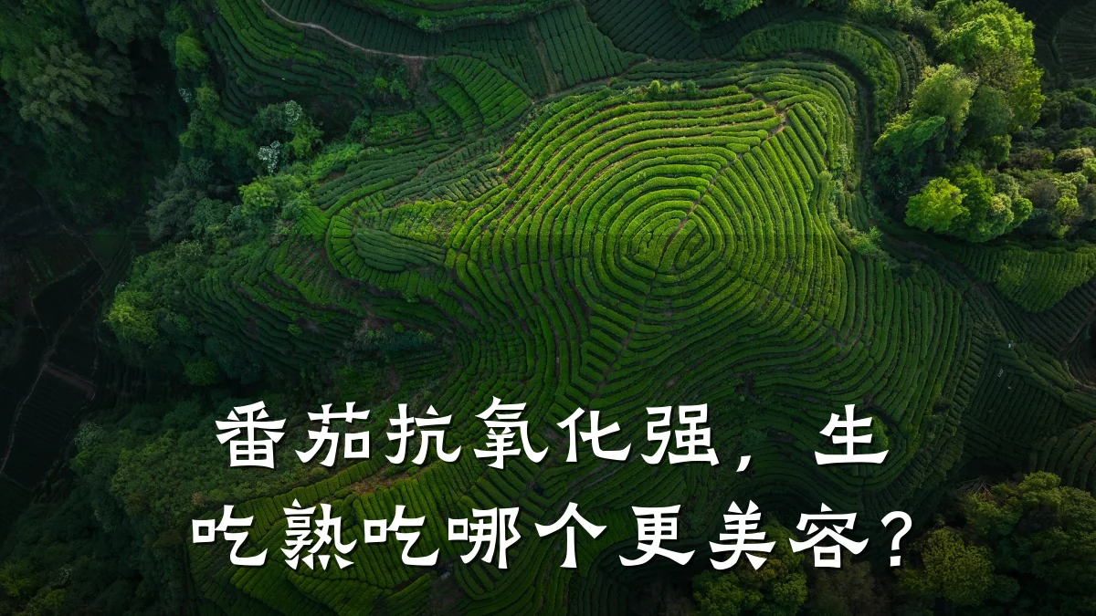 番茄抗氧化强,生吃熟吃哪个更美容?
