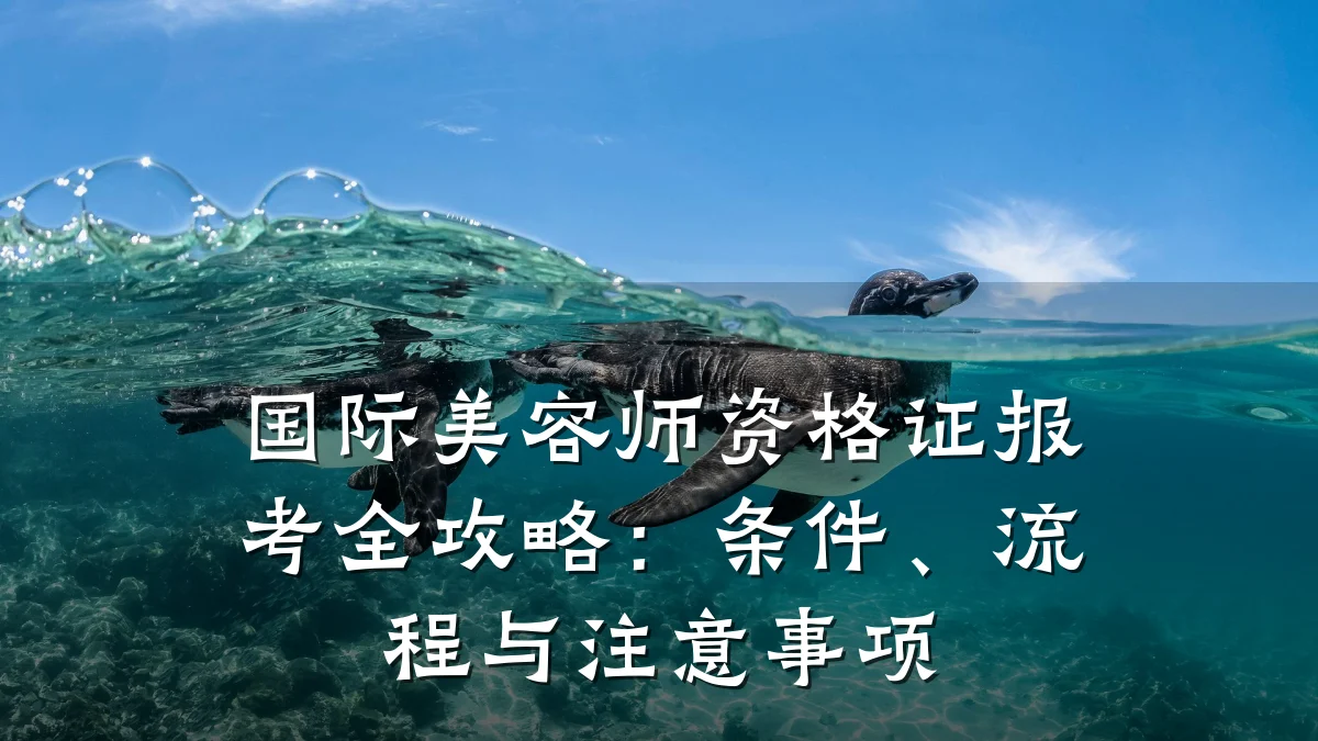 国际美容师资格证报考全攻略:条件、流程与注意事项