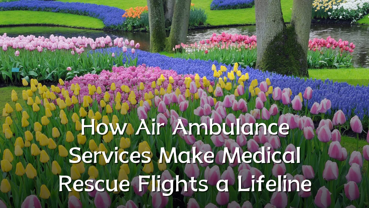 How Air Ambulance Services Make Medical Rescue Flights a Lifeline
