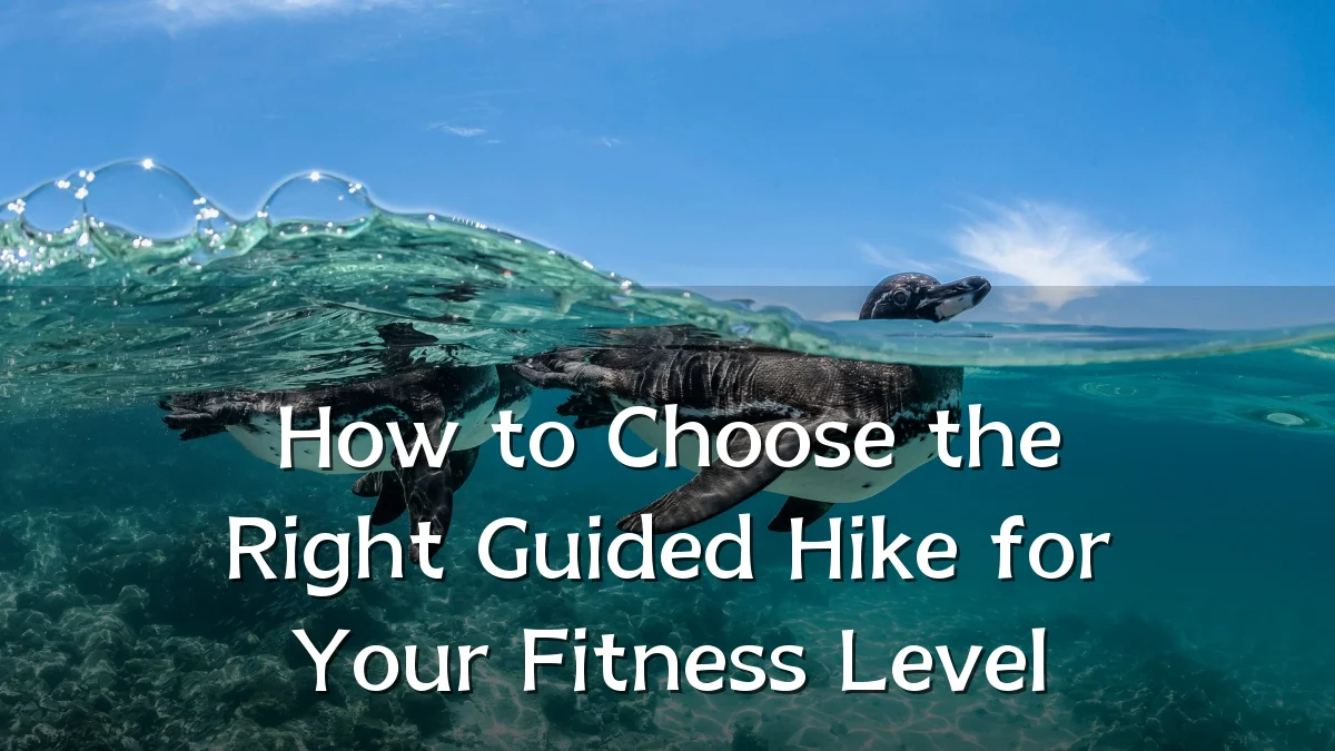 How to Choose the Right Guided Hike for Your Fitness Level