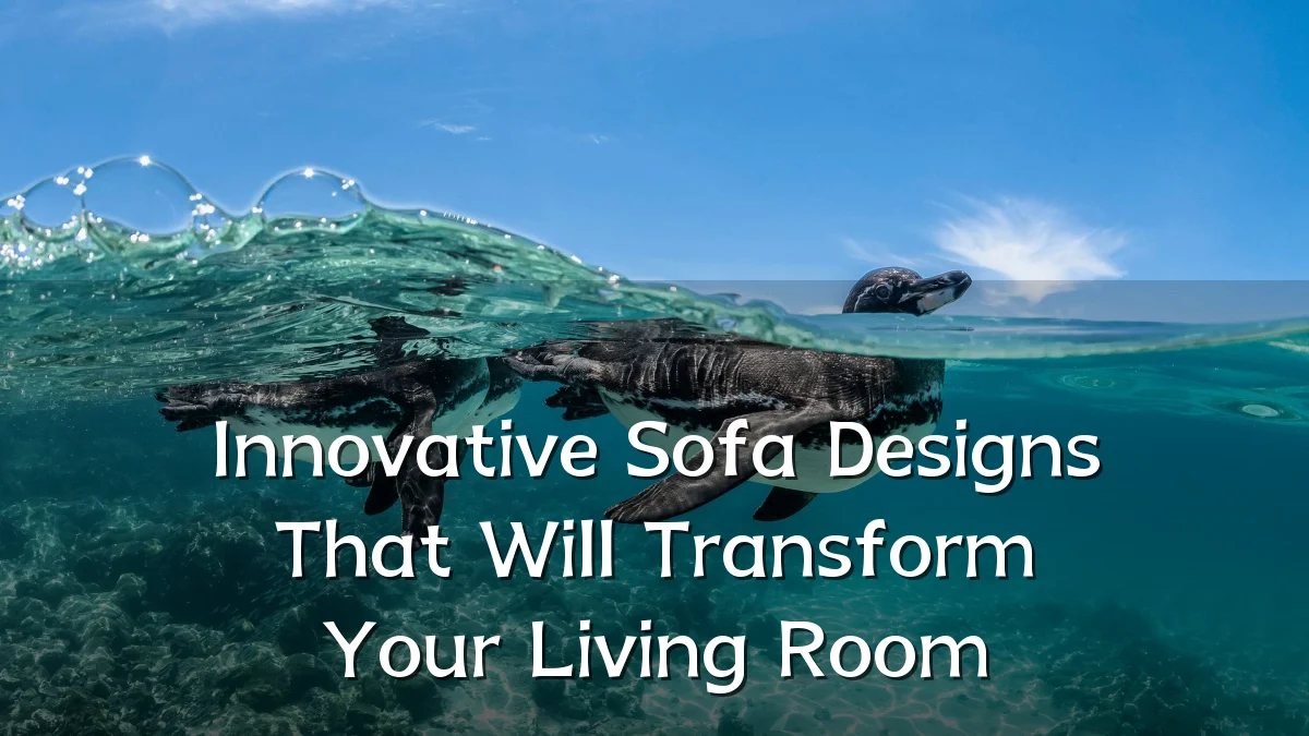 Innovative Sofa Designs That Will Transform Your Living Room