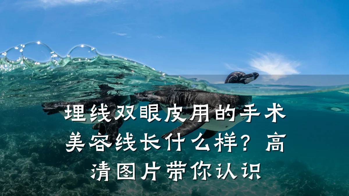 埋线双眼皮用的手术美容线长什么样?高清图片带你认识