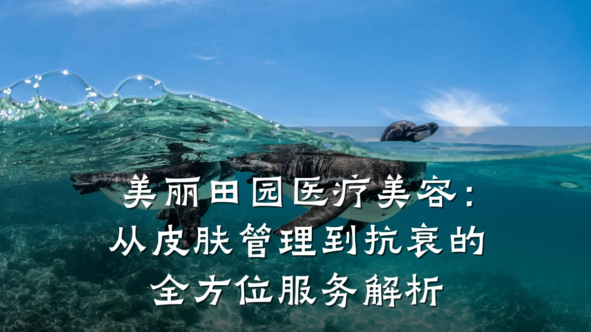 美丽田园医疗美容:从皮肤管理到抗衰的全方位服务解析