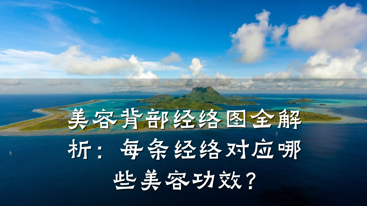美容背部经络图全解析:每条经络对应哪些美容功效?