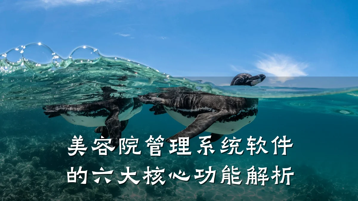 美容院管理系统软件的六大核心功能解析