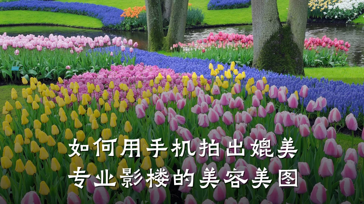 如何用手机拍出媲美专业影楼的美容美图
