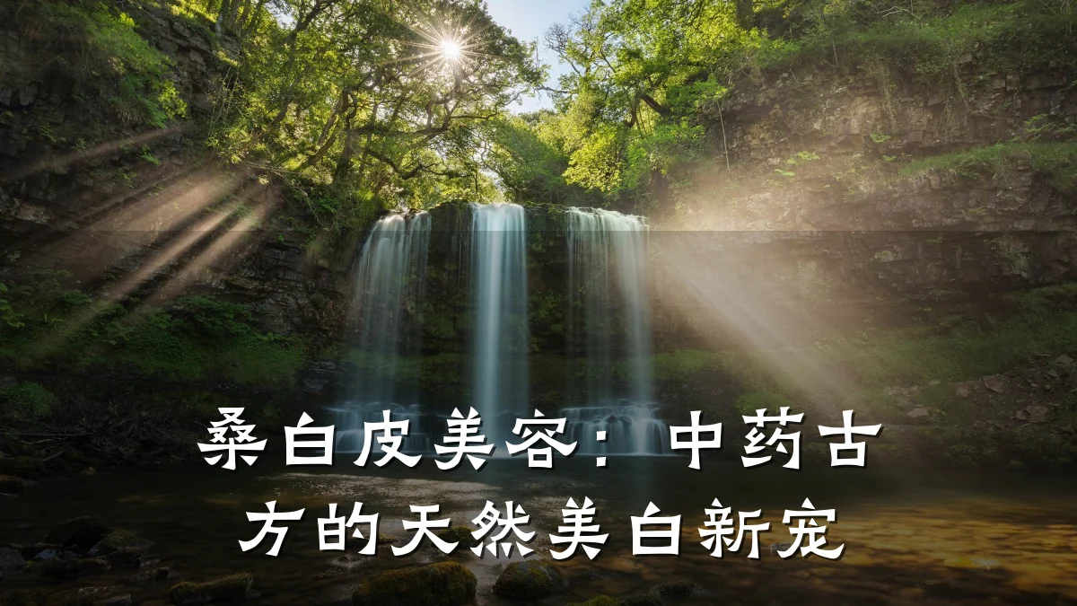 桑白皮美容:中药古方的天然美白新宠