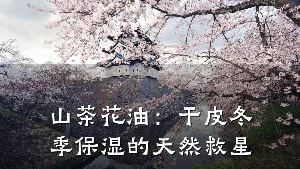 山茶花油：干皮冬季保湿的天然救星