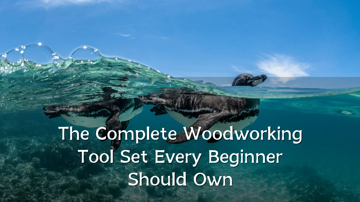 The Complete Woodworking Tool Set Every Beginner Should Own