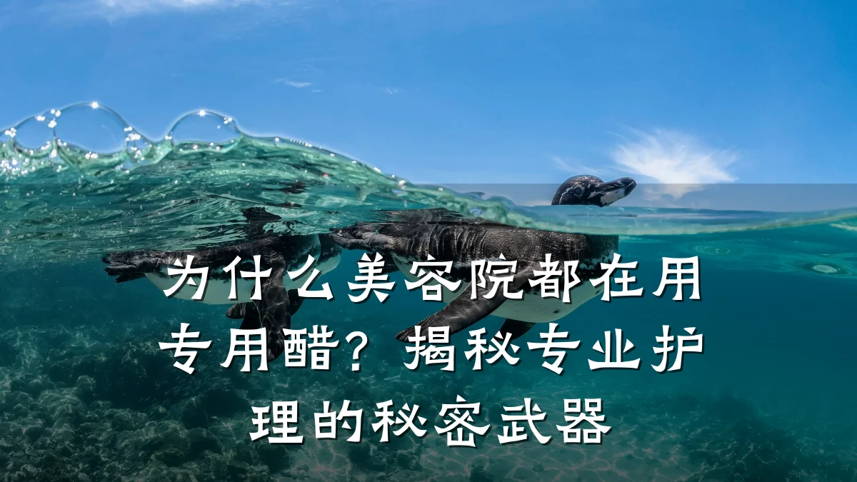 为什么美容院都在用专用醋?揭秘专业护理的秘密武器