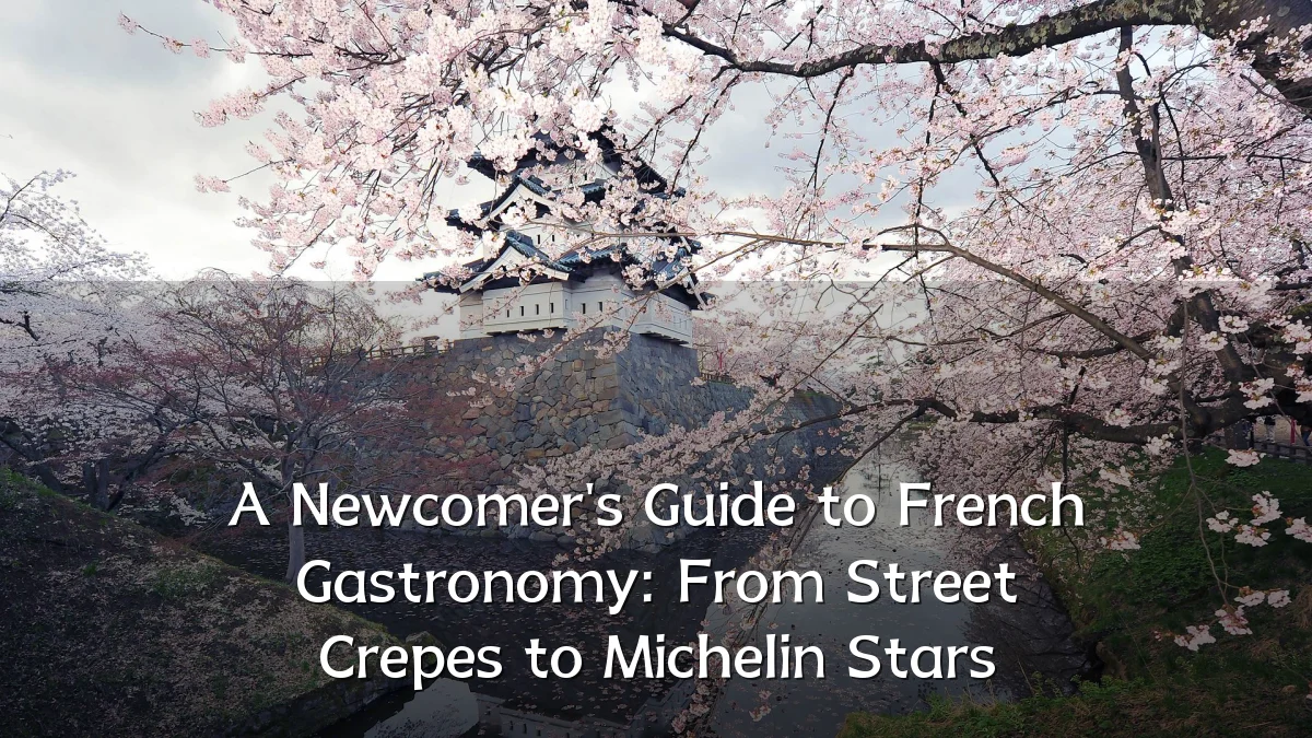 A Newcomer's Guide to French Gastronomy: From Street Crepes to Michelin Stars