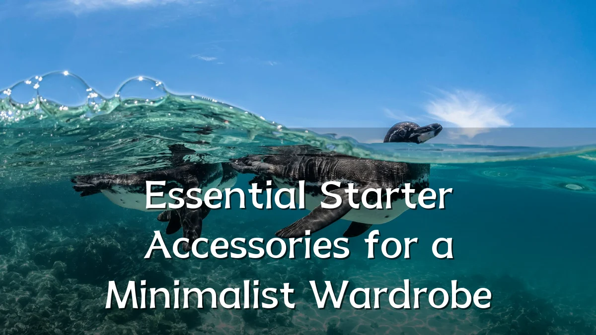 Essential Starter Accessories for a Minimalist Wardrobe