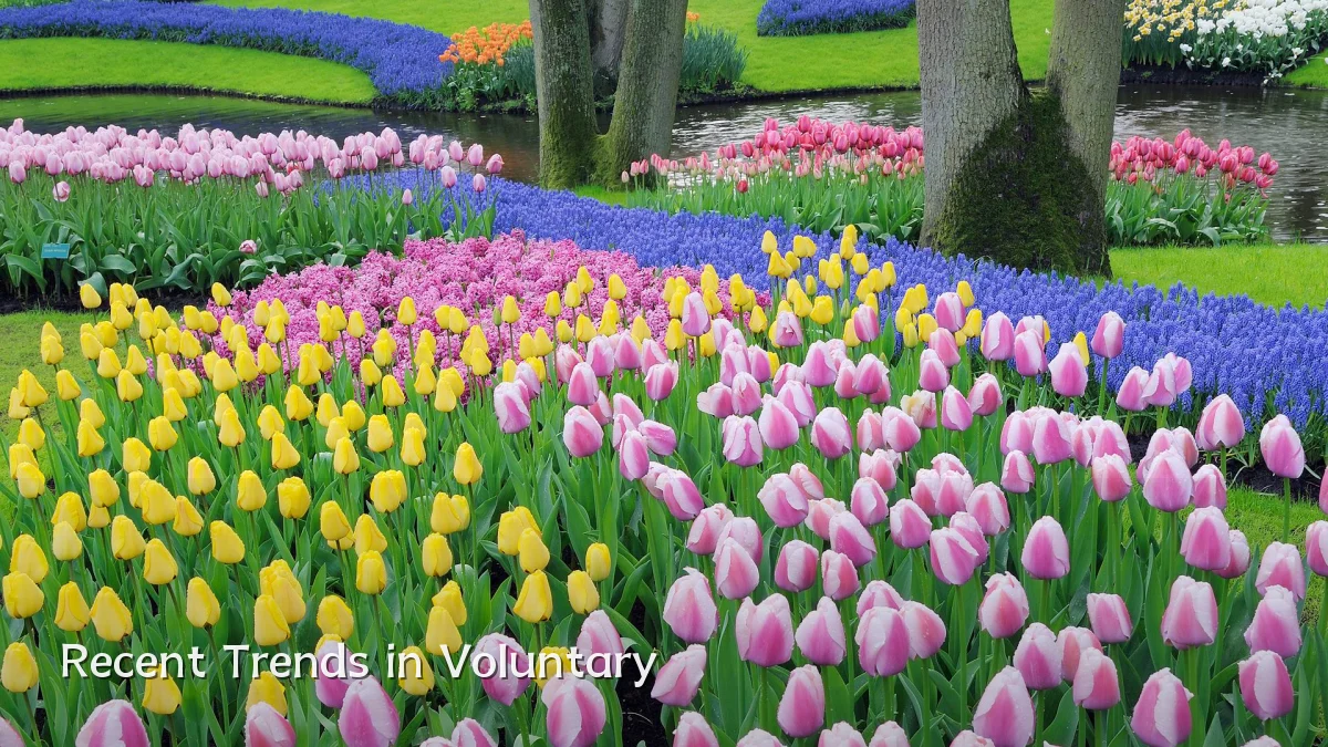 Recent Trends in Voluntary